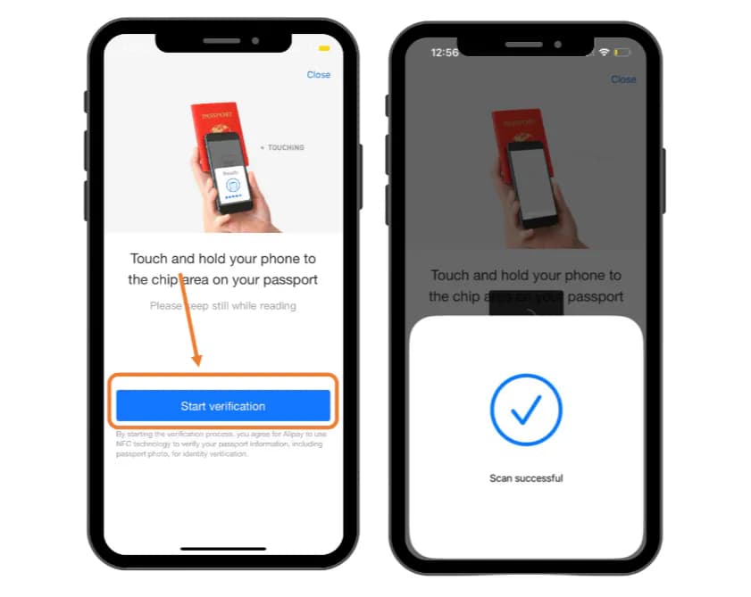Сканирование чипа